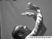 visuel GDB legende.jpg